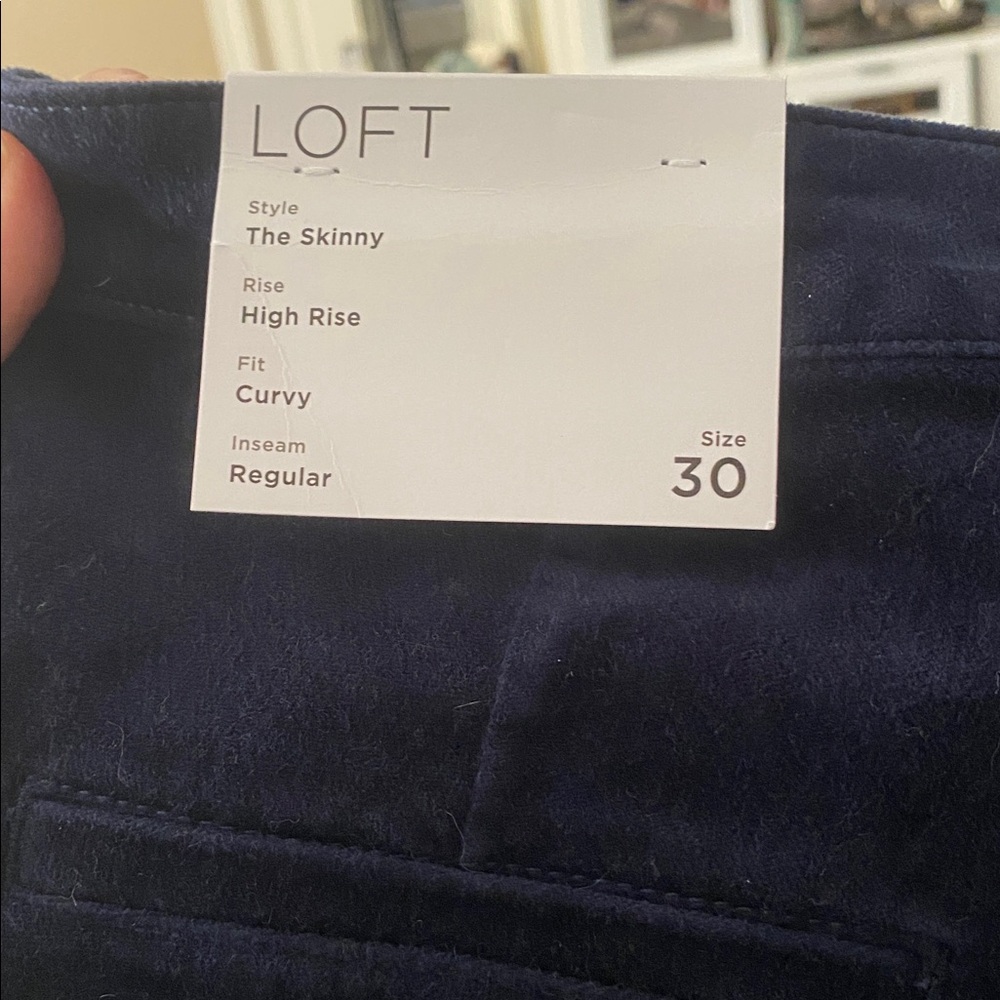 Loft Mariner Curvy Skinny Pants in Deep Blue Velvet - Picture 3 of 3